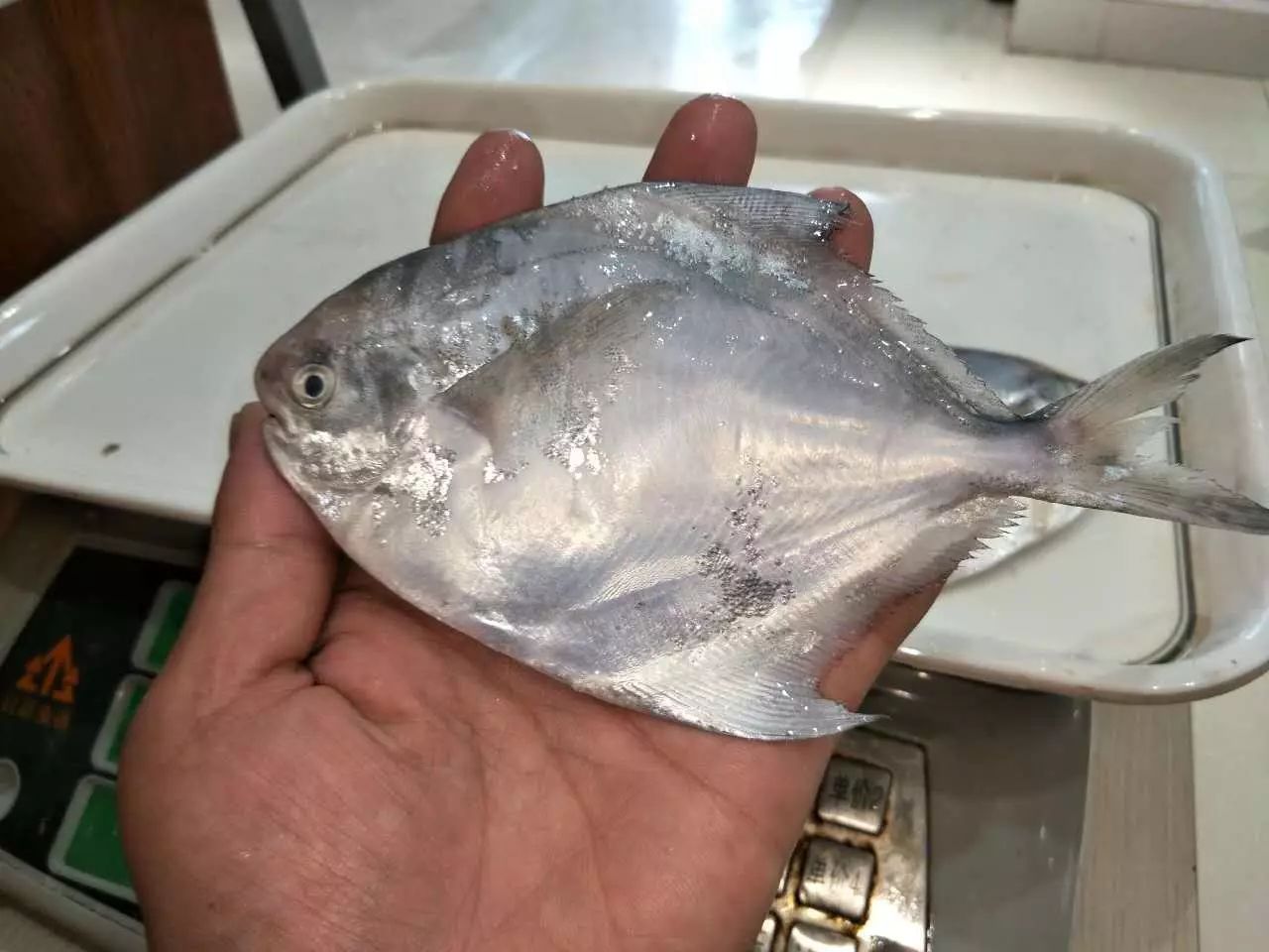 “抒情歌神”安七炫 今日下午公开主打曲MV预告视频“IM电竞平台”(图1) IM电竞官网