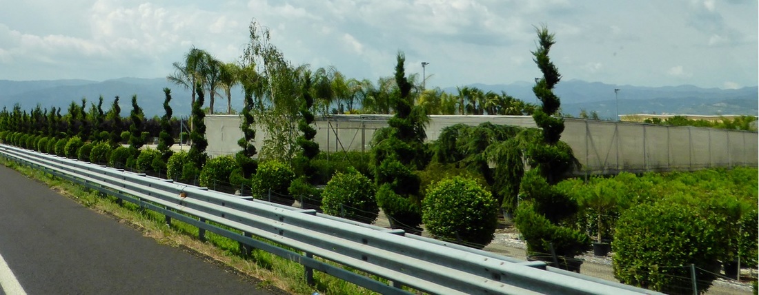 IM电竞官网_允儿更新近照与小猴玩偶一起 展现少女心(图1) IM电竞