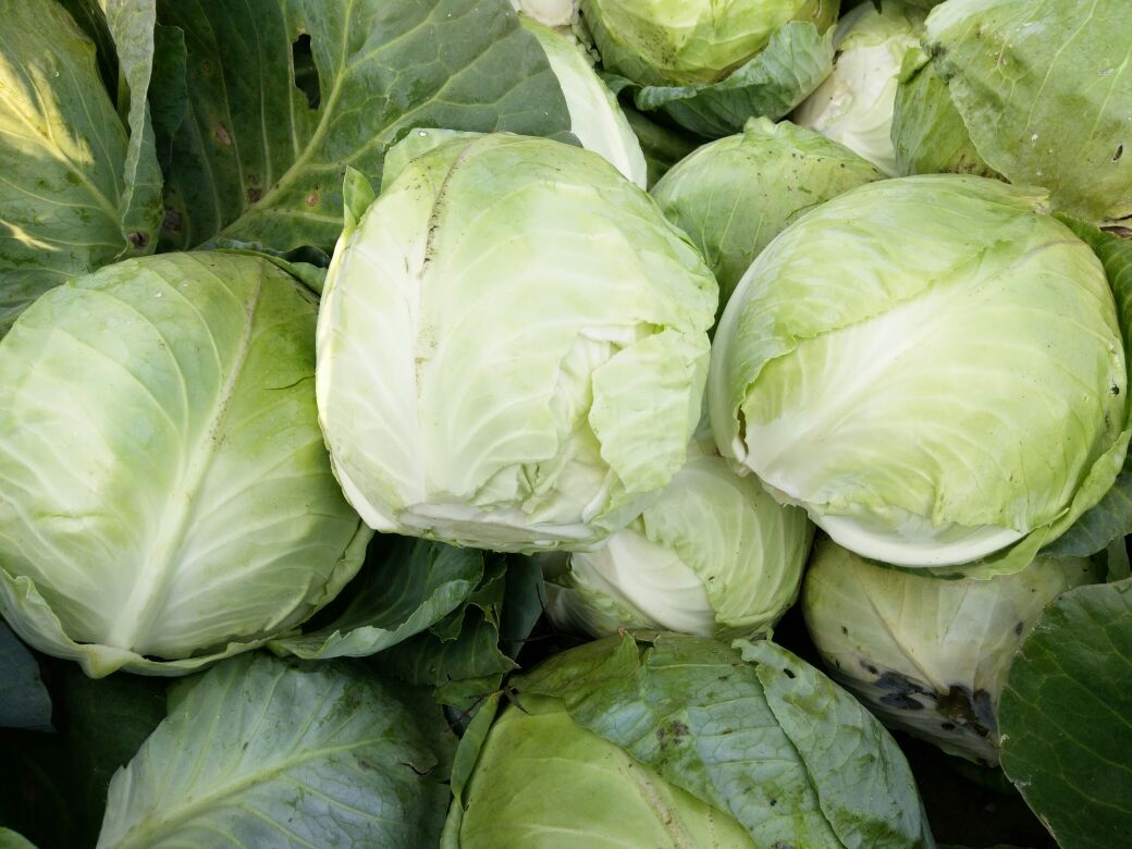 【IM电竞】杰克逊家族纠纷升级 三兄妹冲进私宅与侄女斗殴(图3) IM电竞官网