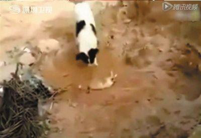 《X战警》导演辛格暗示《万磁王》已无拍摄必要:IM电竞官网(图3) IM电竞官网